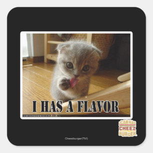 I has a flavour square sticker