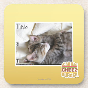 I has a u coaster