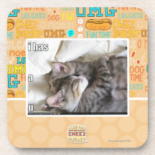 I has a u coaster