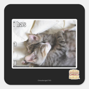 I has a u square sticker