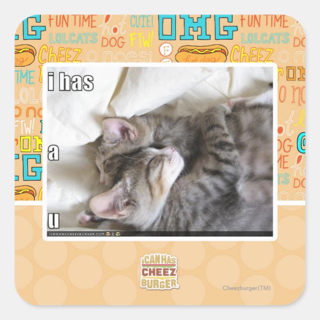 I has a u square sticker (Front)