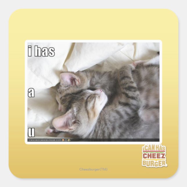 I has a u square sticker (Front)