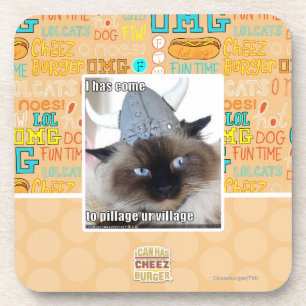 I has come to pillage ur village coaster