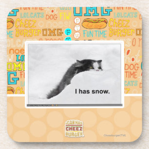 I has snow. coaster