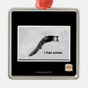 I has snow. metal ornament