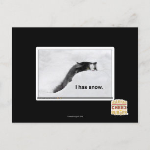 I has snow. postcard