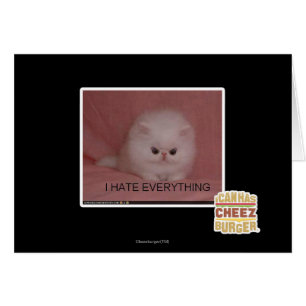 I hate everything