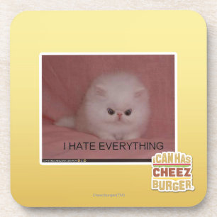 I hate everything coaster