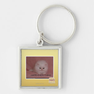 I hate everything key ring