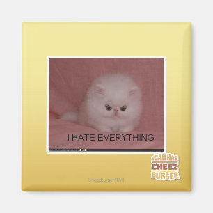 I hate everything magnet