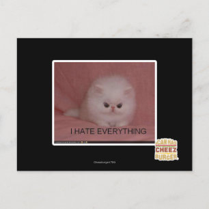 I hate everything postcard