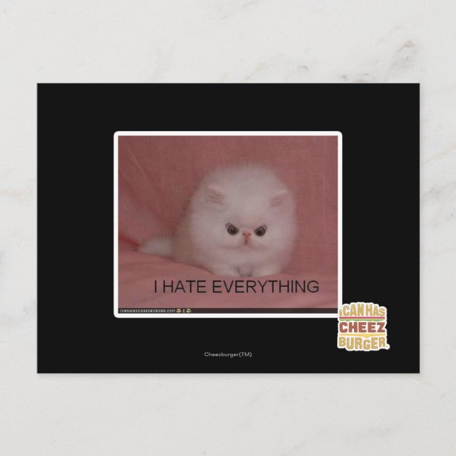 I hate everything postcard (Front)