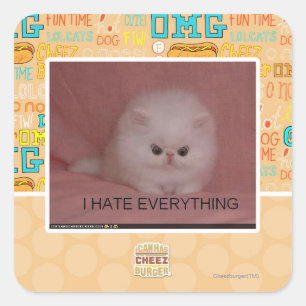 I hate everything square sticker