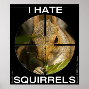 I Hate Squirrels - In the Scope - Poster