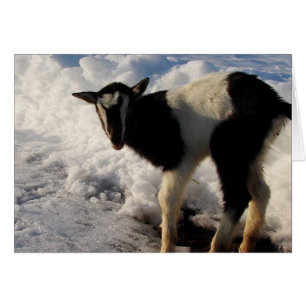 I hate Winter. Here's Hoping Spring arrives soon.