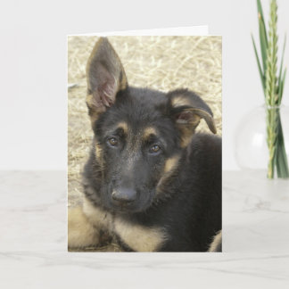 I have a good ear...Greeting Card