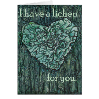 I Have a Lichen for You