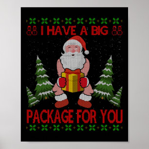 I Have Big Package For You Santa Claus And Huge Bo Poster
