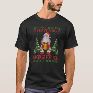 I Have Big Package For You Santa Claus Huge Box Te T-Shirt