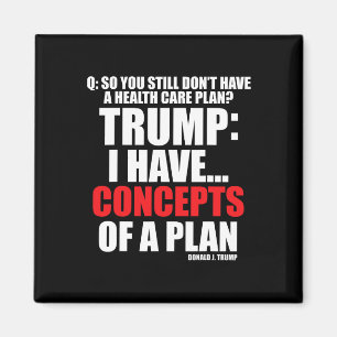 I Have... Concepts Of A Plan Voting Trump 2024 Ele Magnet