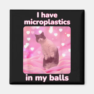 I Have Microplastics In My Pink Cat Meme Dank Meme Magnet