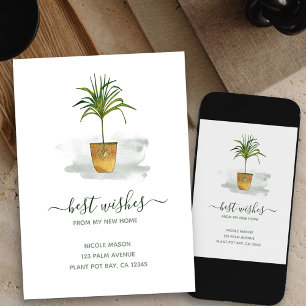 I Have Moved Potted Palm Plant My New Home Moving Announcement