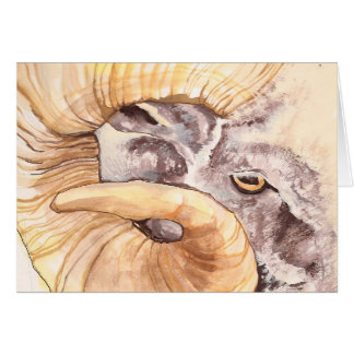 i have my eye on ewe