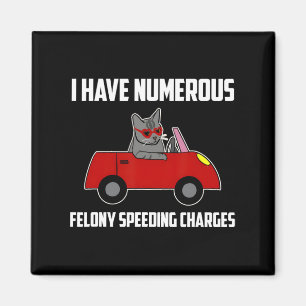 I Have Numerous Felony Speeding Charges Funny Cat Magnet