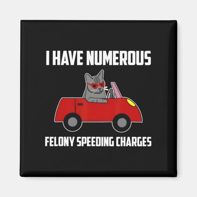 I Have Numerous Felony Speeding Charges Funny Cat  Magnet (Front)