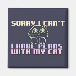 I have planes with my cat magnet