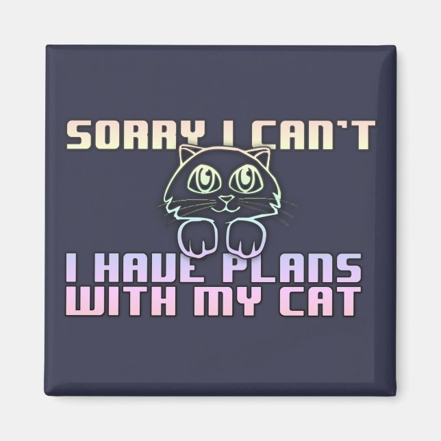 I have planes with my cat magnet (Front)