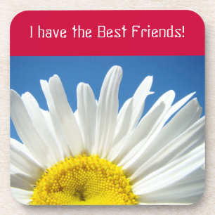 I have the Best Friends! cork coasters Daisies