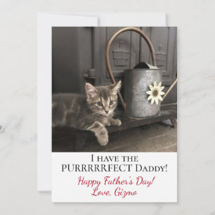 I Have The Purrrfect Dad! Father's Day Kitty Photo Card