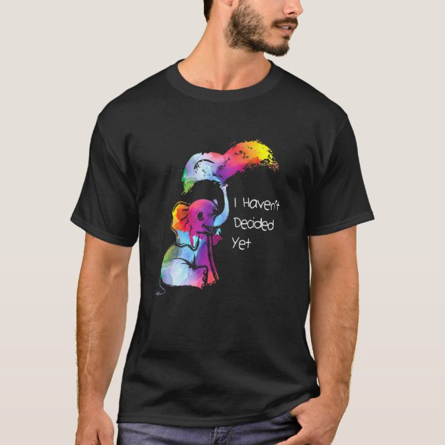 I Havent Decided Yet Rainbow Genderflexible Pride  T-Shirt (Front)