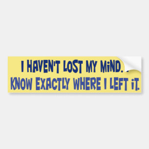 I haven't lost my mind. bumper sticker