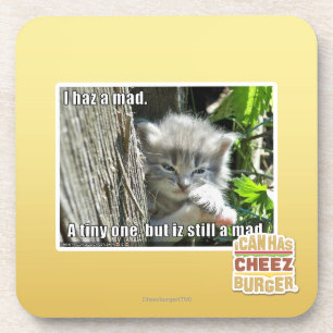 I haz a mad coaster
