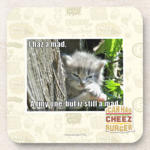 I haz a mad coaster