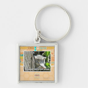 I haz a mad key ring