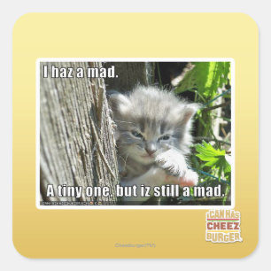 I haz a mad square sticker