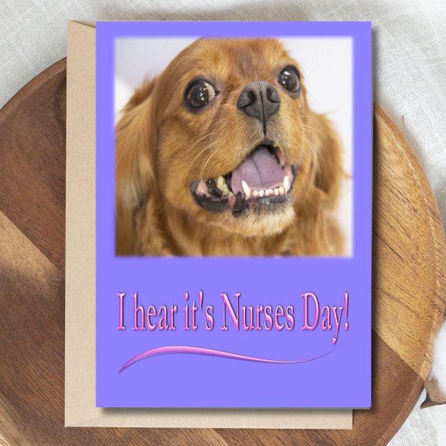 I hear it's Nurses Day Cavalier King Charles Card (Creator Uploaded)