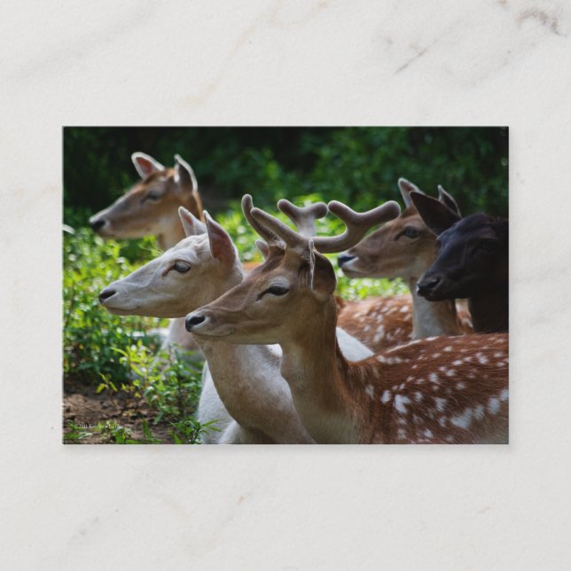 I Hear Mini Print Business Card (Front)