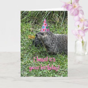 I heard it's your birthday, groundhog cards