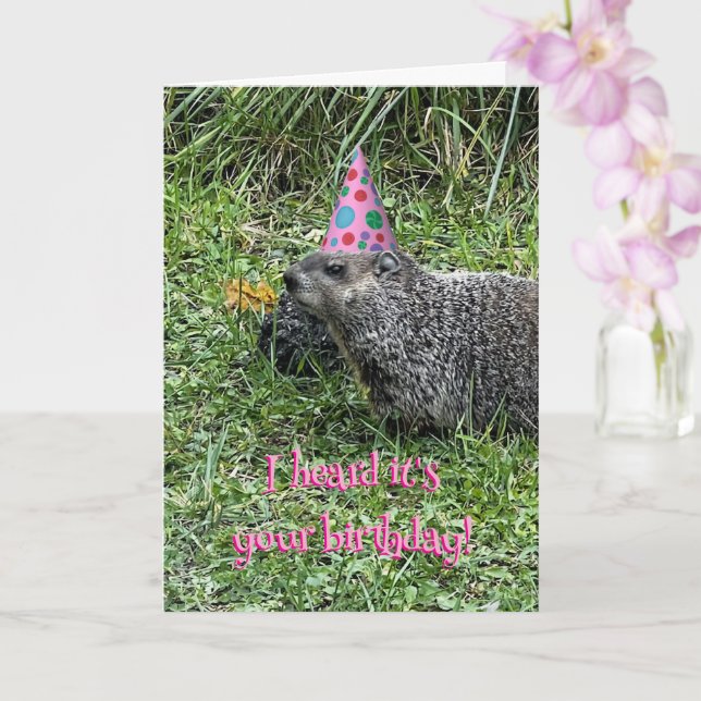 I heard it's your birthday, groundhog cards (Orchid)
