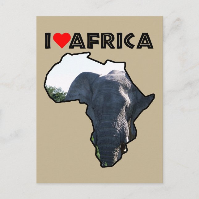 I Heart Africa Elephant Ears Postcard (Front)