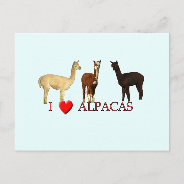 I "heart" alpacas postcard (Front)