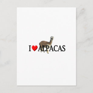I "heart" alpacas postcard