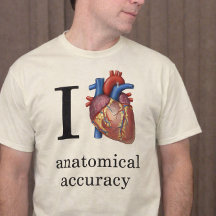 I Heart Anatomical Accuracy