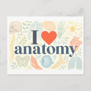 "I [Heart] Anatomy" Postcard