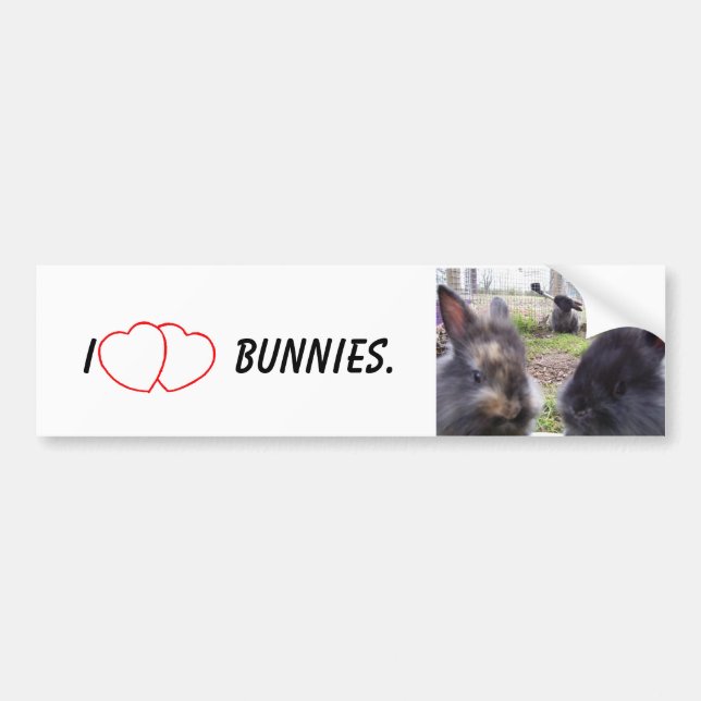 I Heart Bunnies Bumper Sticker (Front)