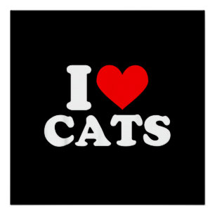 I Heart Cats - I Heart Cats I Love Cats Poster
